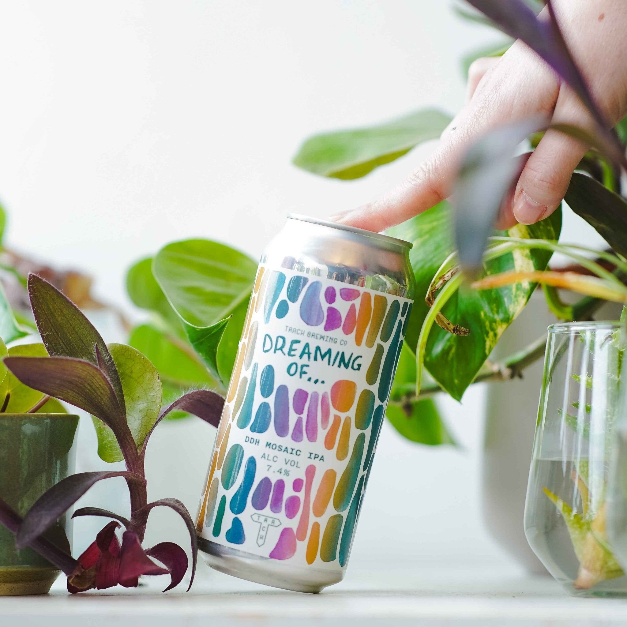 Dreaming Of... DDH Mosaic | DDH IPA w/ Fresh Harvest Mosaic | 7.4% - Track Brewing Company Limited