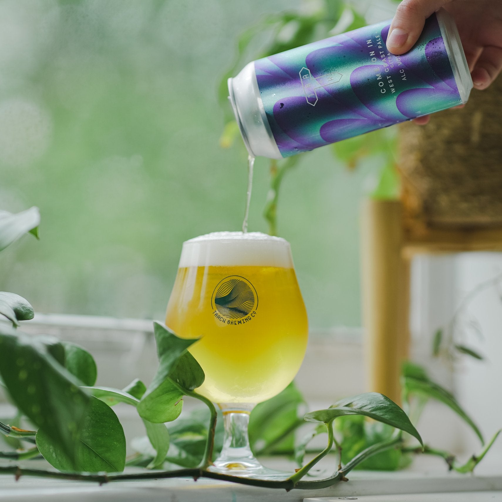 Come On In | West Coast Pale w/ Citra | 5.0% - Track Brewing Company Limited